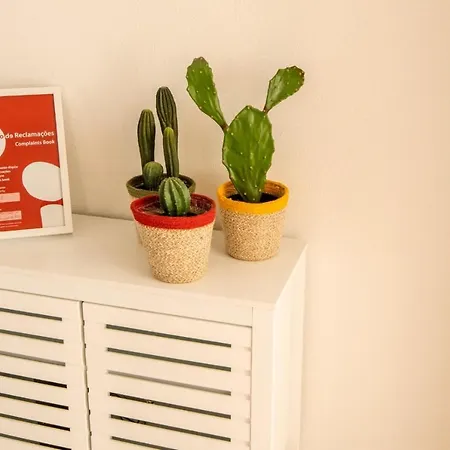 Casa Abelha Apartment